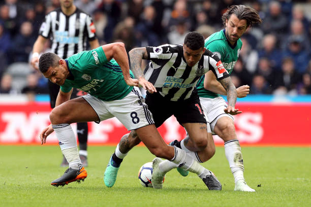 已在历史上 已在历史上