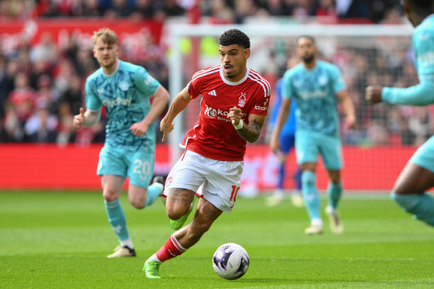 切尔西奖杯 切尔西奖杯